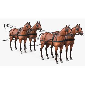 3D model Team of Four Leather Harness Rigged